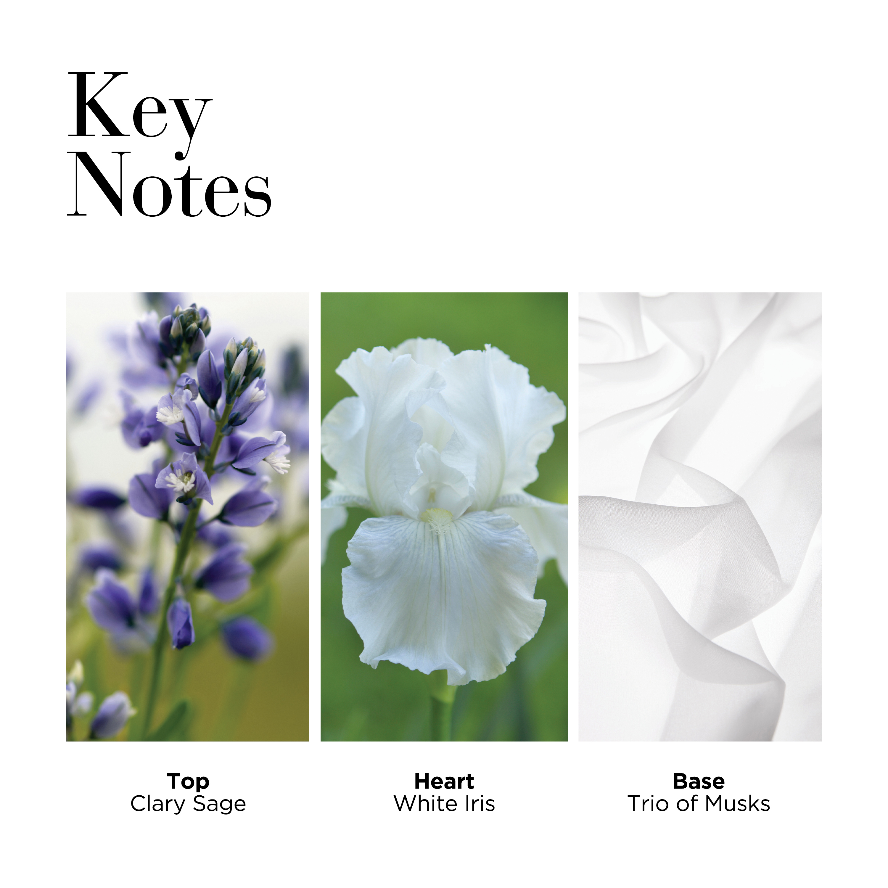 White Tea Original Set